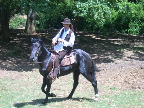 Altri animali domestici presso l'agriturismo o nei dintorni