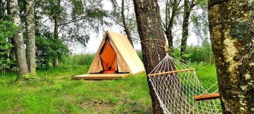 Fotografie z fotogalerie ubytování Jogas sala v destinaci Ludza