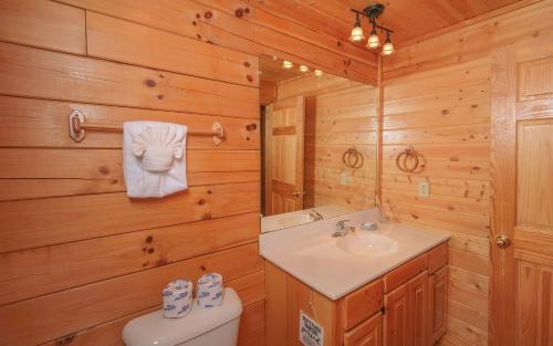 a bathroom with a sink and a toilet in a log cabin at Red Cedar Lodge in Sevierville