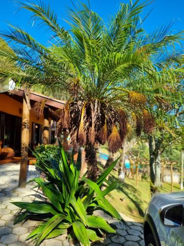Κήπος έξω από το Pousada Villa dos Quilombolas