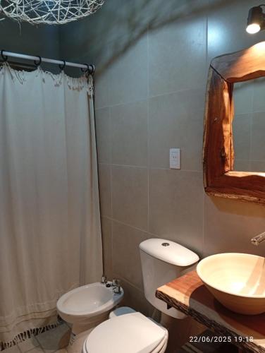 a bathroom with a toilet and a sink at Cabañas El Alemán 2 in Cerrillos