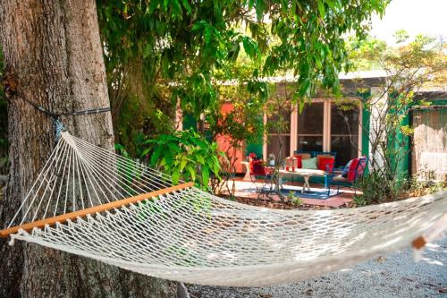 a hammock hanging from a tree in front of a house at Cozy 4bd House Heart of Downtown WPB Sleeps 10 in West Palm Beach