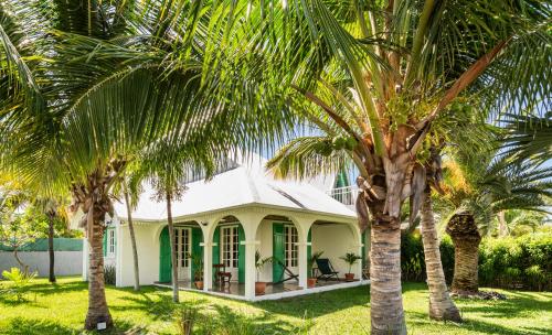a house with palm trees in front of it at Villa à la Plage, lagon à 500m, climatisée in Saint-Paul