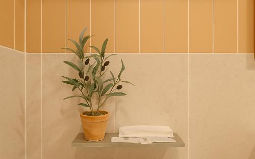a plant sitting on a shelf in a bathroom at Gangneung Harubam in Gangneung
