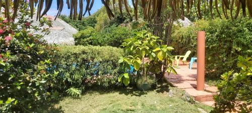 a garden with flowers and plants and a chair at HUAHINE - Bungalow Napoleon in Fare
