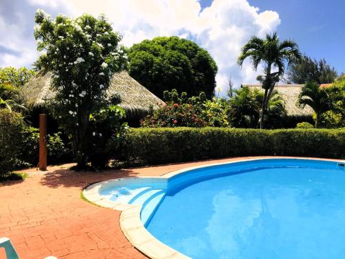 a swimming pool in front of a house with a palm tree at HUAHINE - Bungalow Perroquet in Fare
