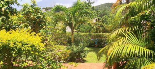 a garden with palm trees and other plants at HUAHINE - Bungalow Perroquet in Fare