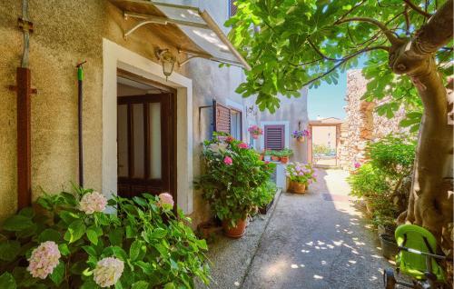 Awesome Apartment In Mali Losinj With Wifi