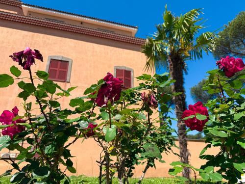 a building with pink roses and a palm tree at Villa Due Leoni - Casa Per Ferie in Rome