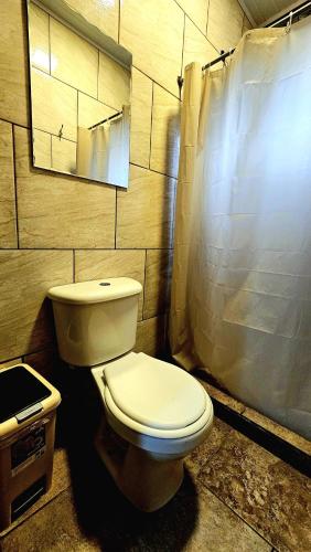 a bathroom with a toilet and a shower curtain at Blasina Beer Hostel in Boquete