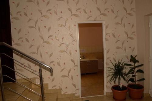 Billede fra billedgalleriet på Pensiunea Anca i Baile Felix