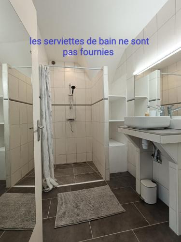 une salle de bain avec une douche, un lavabo et des toilettes dans l'établissement JUR'Atypique, à Conliège