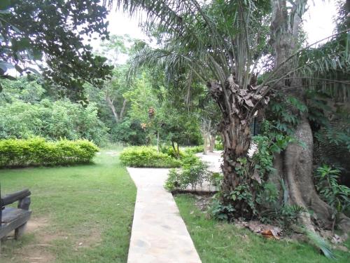 a walkway in a park with a tree and a bench at Wli Water Heights Hotel in Wli Afegame