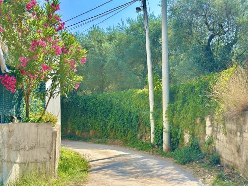 a road with pink flowers and a fence at Akhdar Apartments in Utjeha