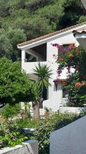 PARACHOS Trulos beach accomodation 500 metres from the sea