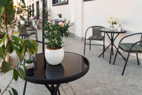 a table with a white vase on it with plants on it at Hotel Boutique Tunari in Tunari