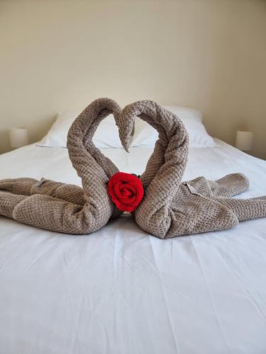 La Rosalie des Alpes - Ski l'hiver, rando l'été !!! - A deux pas des pistes !