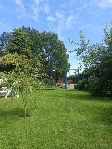 a small tree in the middle of a yard at Veronika in Wesenberg