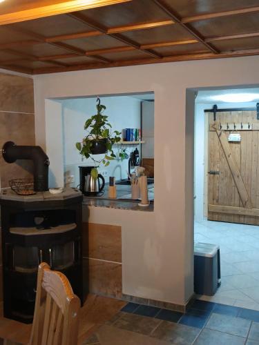 a kitchen with a counter and a wooden door at Veronika in Wesenberg