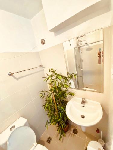 a bathroom with a sink and a toilet and a plant at Tagaytay Staycation by SMDC WIND RESIDENCES LAKEVIEW in Kaybagal