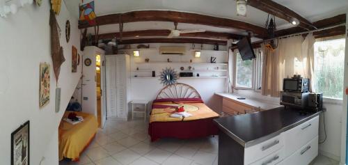uma cozinha com uma pequena cama numa pequena casa em Aprea Apartments em Ponza