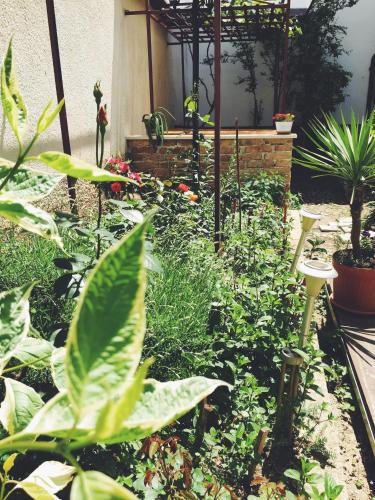 a garden with lots of plants and flowers at Guest house Nizama's Place in Sarajevo