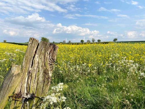 a wooden post in a field of flowers at Archie's Barn in Lenwade