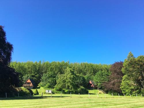 a grassy field with trees and houses in the background at Pine Lodge - Uk7049 in Glenurguhart