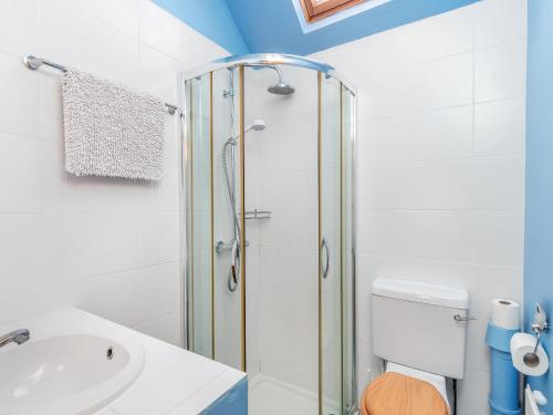 a bathroom with a shower and a sink and a toilet at Prosperous Villa in Puncknowle