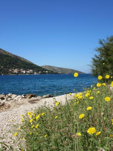 Fotografie z fotogalerie ubytování Apartmani Jasminka v destinaci Grebaštica
