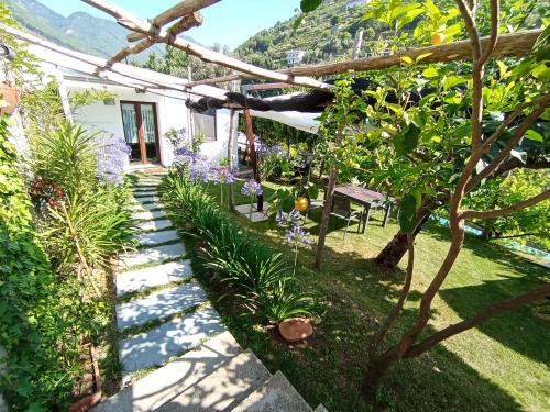 Ein Garten an der Unterkunft Casa Mia
