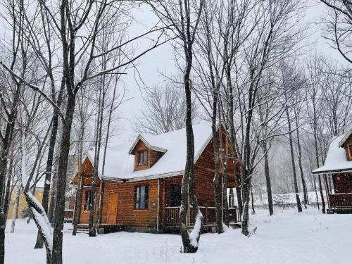 a log cabin with snow on top of it at Yabuli QuShe Four seasons Private Lakefornt B&B in Xinhua