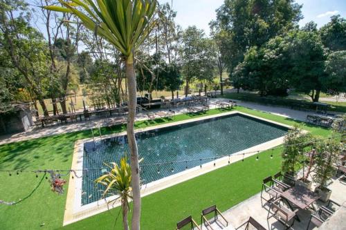 a large swimming pool in a park with a palm tree at OYO 75374 Baan Rak Mai in Kanchanaburi