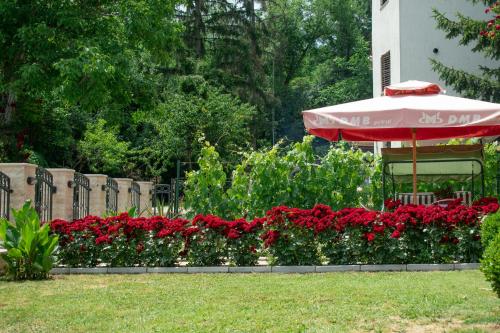 Κήπος έξω από το Apartmani "Vila Jelena" Arandjelovac