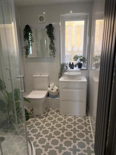 a bathroom with a toilet and a sink at Amarons Nest - Cosy little house on Great Orme in Llandudno