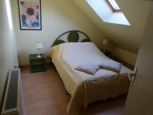 a bedroom with a bed and a skylight at Gîte du Château des Chaînées in Chevregny