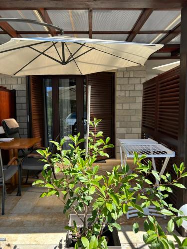 Apartments Loncar