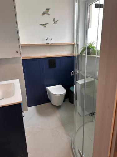 a bathroom with a toilet and a glass shower at Apartament szafirowy z basenem koło Łeby in Żarnowska