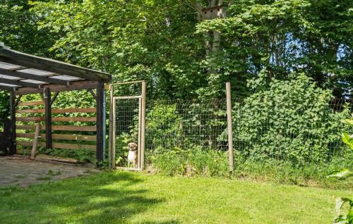 a dog standing behind a gate in a yard at 3 Bedroom Lovely Home In Ulfborg in Ulfborg
