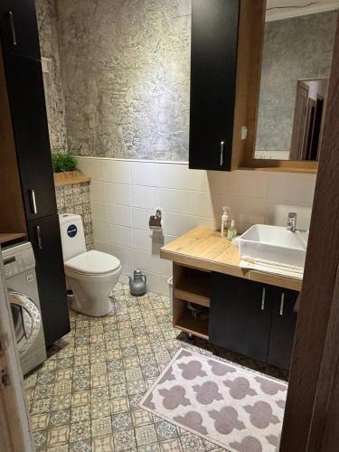 a bathroom with a toilet and a sink at Гостевой дом Altyn Dan in Kegen