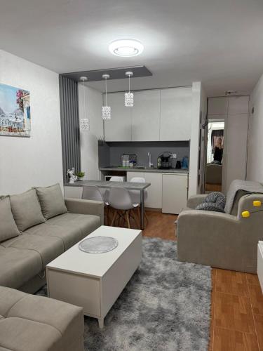 a living room with a couch and a table at Vaso apartman Bečići in Boreti