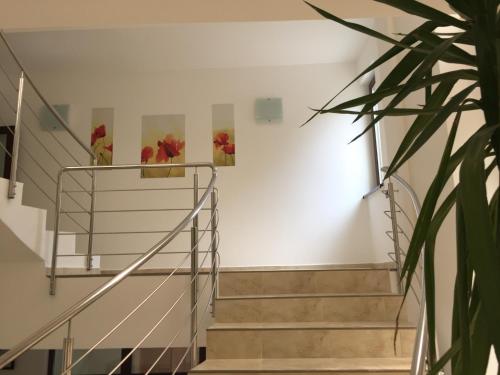 a staircase with two vases of flowers on the wall at Paradox Oituz in Eforie Sud