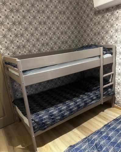 a bunk bed in a room with a wall at Gîtes le Mont Desclos Saint Michel in Beauvoir