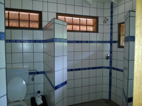a bathroom with a toilet with blue and white tiles at Ng'ona Lodge in Maganga