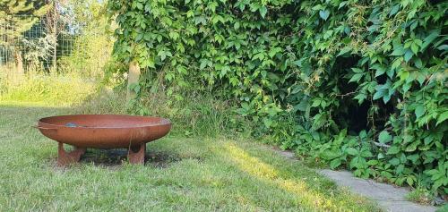 a brown bowl sitting in the grass next to a hedge at Cozy Summer House In Nykøbing Sjælland in Nykøbing Sjælland