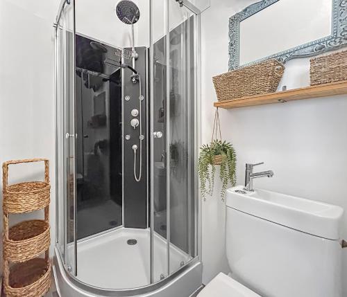 une salle de bain avec une douche avec des toilettes et un lavabo dans l'établissement Studio Avec SPA Proche Centre, à Carcassonne