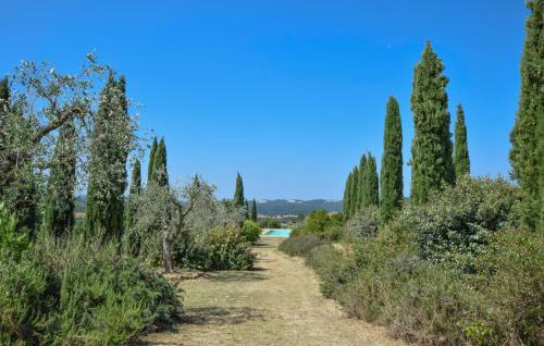 a path through a forest of cypress trees at Stunning Apartment In San Vito In Monte in Baccano