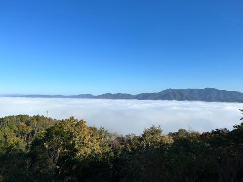 a view of a sea of fog in the hills at Koiya in Kameoka