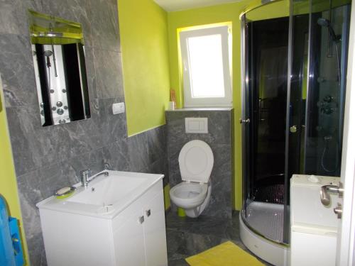 ein Bad mit einem Waschbecken, einem WC und einer Dusche in der Unterkunft Apartmány Vihorlat I in Kaluža