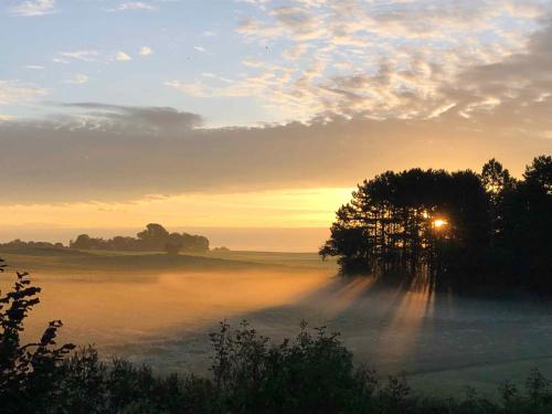 a misty field with the sun rising behind a tree at Old Guardhouse On West Møn in Askeby